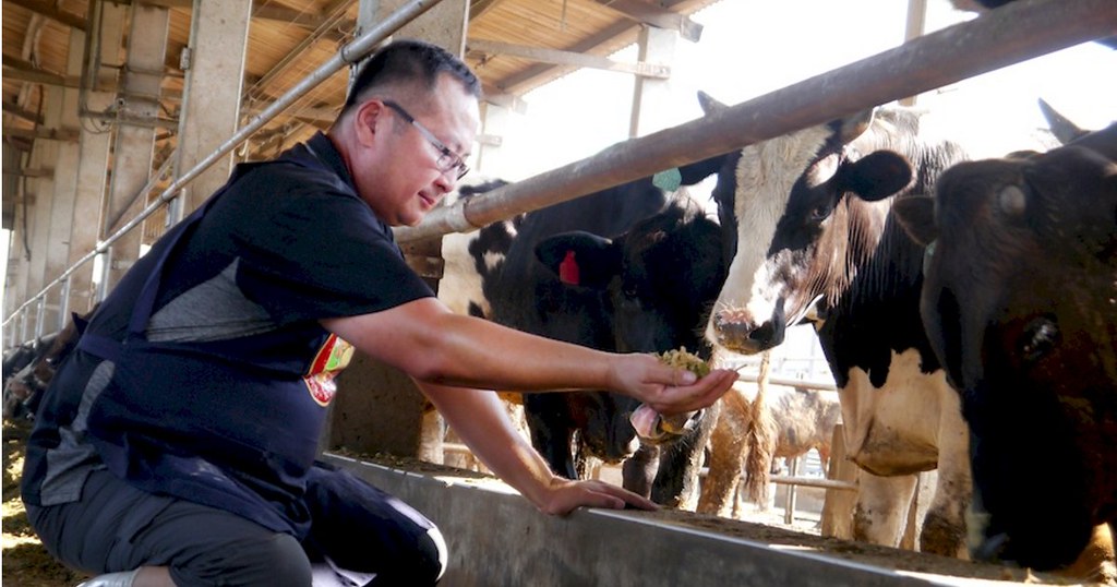 新鮮屠宰台灣牛肉，產銷履歷達人與神農獎得主楊鎵燡堅持理念無毒飼養，以台灣在地新鮮蔬果牧草飼養本土黃牛與台灣牛。御牧牛皆須通過CAS國家驗證與產銷履歷嚴格把關。嘉義牧場每條牛都有身分證，黃牛與台灣牛生長過程中均無灌水與無施打抗生素、磺胺劑、無瘦肉精與生長激素，排除動物性用藥，避免藥物殘留。產地餐桌一條龍每個環節嚴格把關。御牧牛草飼本本土牛富含香氣