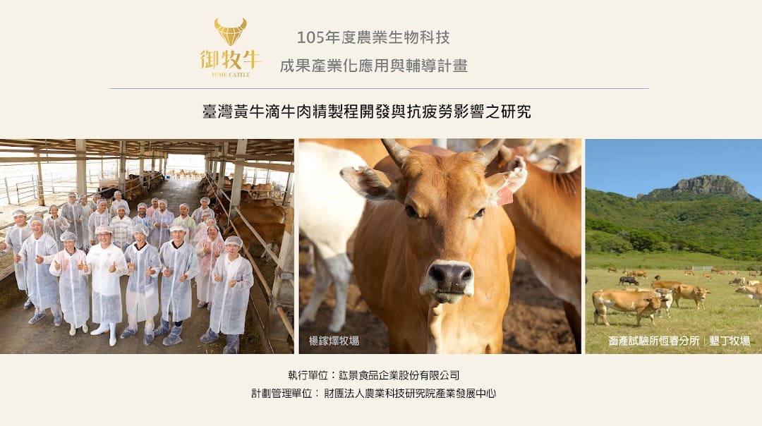 台灣黃牛滴牛肉精製程開發與抗疲勞影響之研究|鈜景食品2016產學合作